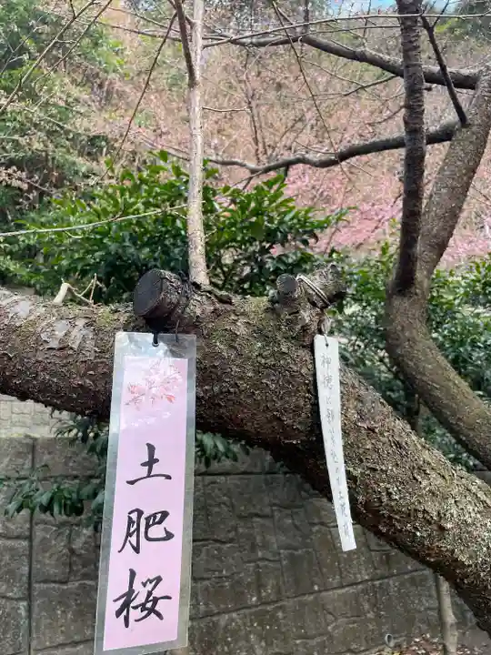 土肥神社(静岡県)