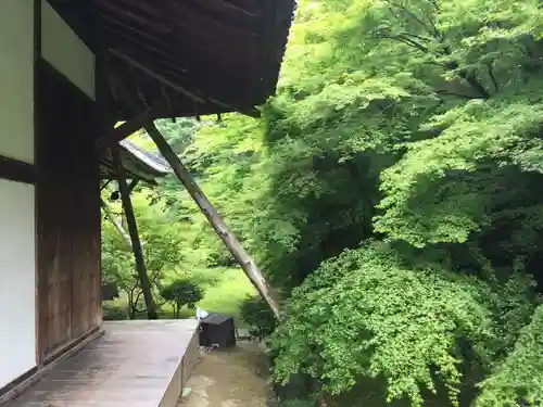 実相院門跡の本殿・本堂