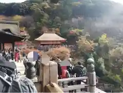 清水寺の建物その他