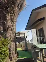 杉山神社の{uncategorized: "未分類", other: "その他", undefined: "問題あり", building: "その他建物", grave: "お墓", sacred_gate: "鳥居", guardian: "狛犬", statue: "像", buddha: "仏像", history: "歴史", nature: "自然", garden: "庭園", animal: "動物", pagoda: "塔", temizu: "手水舎", mountain_gate: "山門・神門", sanctuary: "本殿・本堂", subordinate: "末社・摂社", art: "芸術", scenery: "景色", jizo: "地蔵", ema: "絵馬", goshuin: "御朱印", omikuji: "おみくじ", items: "授与品その他", amulet: "お守り", goshuincho: "御朱印帳", eats: "食事", festival: "お祭り", votive_dance: "神楽", shichigosan: "七五三参", wedding: "結婚式", experience: "体験その他", initially: "初詣", around: "周辺", anti_infection: "感染症対策"}