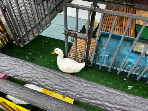 弘法院大師堂(福井県)