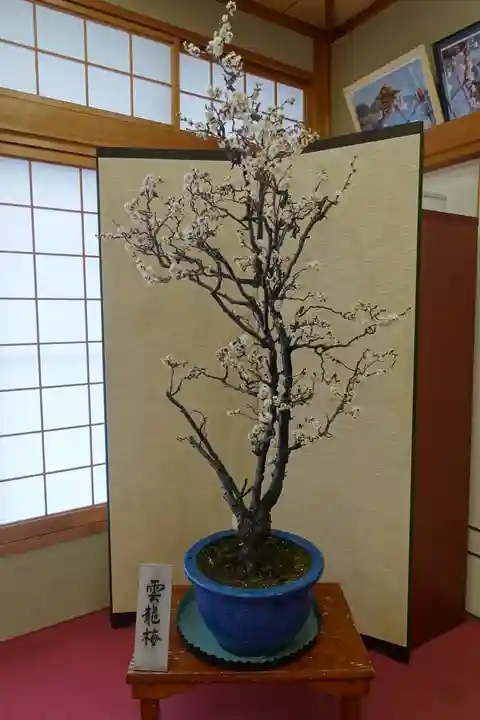 菅原天満宮(菅原神社)の自然