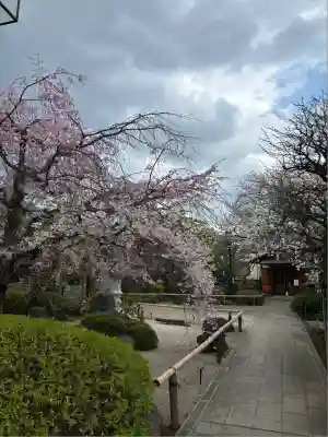龍眼寺(萩寺)(東京都)