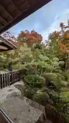 善法律寺(京都府)