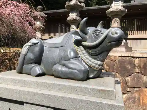 瀧樹神社の狛犬