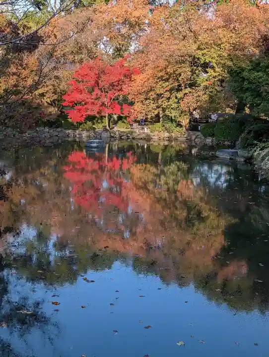 東寺(教王護国寺)(京都府)
