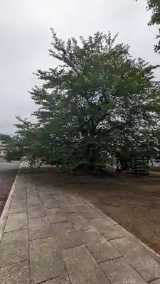 多宝院のその他建物