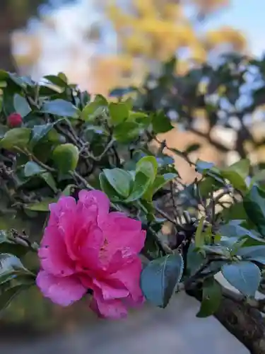 伊勢の国 四天王寺の自然