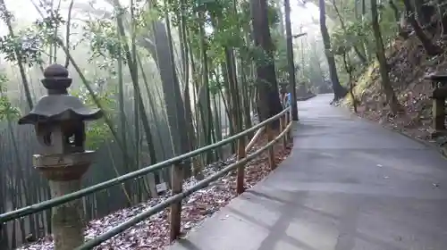 石清水八幡宮の自然