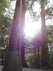 瀧原宮(皇大神宮別宮)の自然