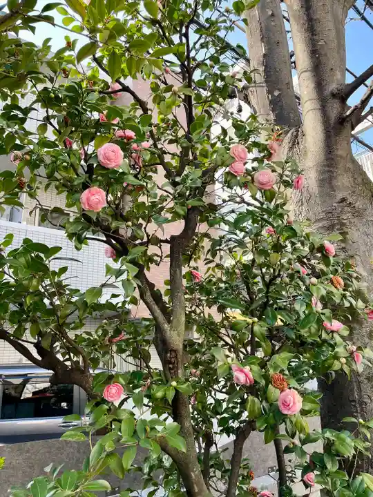 皆中稲荷神社(東京都)