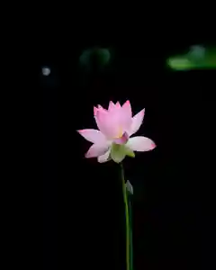 浄土寺(兵庫県)(2023年07月17日(月) 08時23分13秒投稿)