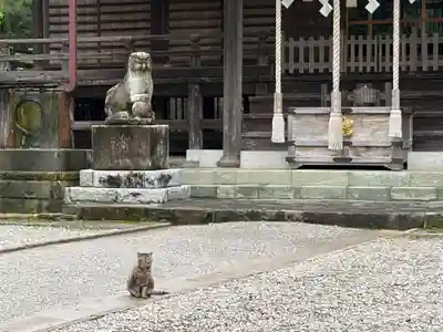 稲荷神社(千葉県)