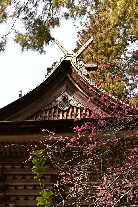 住吉神社(愛媛県)