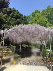 足利織姫神社の自然