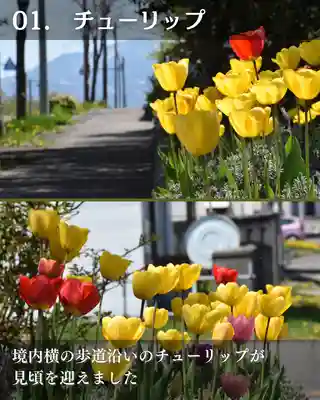 宝光寺(北海道)