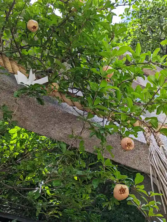 武信稲荷神社の自然