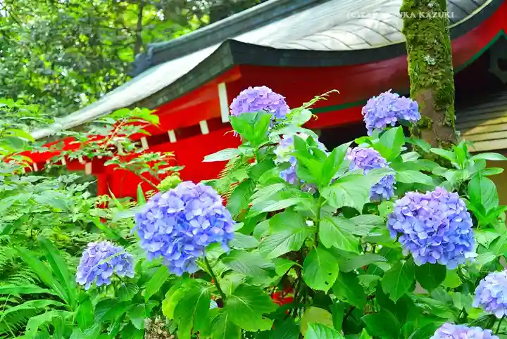 箱根神社(神奈川県)