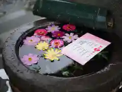 今市報徳二宮神社のおみくじ