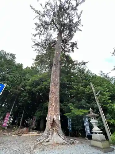 滑川神社 - 仕事と子どもの守り神(福島県)