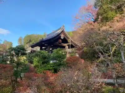 三室戸寺(京都府)