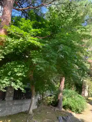 鳥谷崎神社(岩手県)