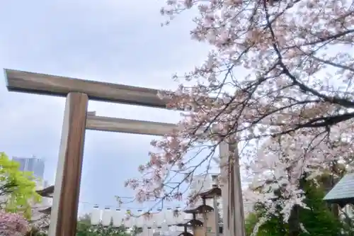 伊勢山皇大神宮の鳥居