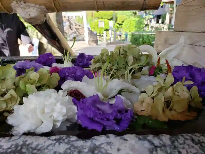 鳩森八幡神社の手水舎