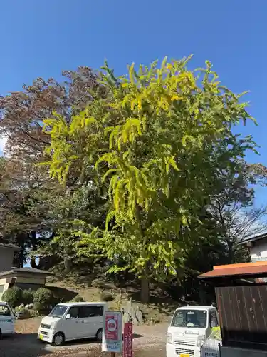 八坂神社(宮城県)