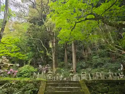 室生寺(奈良県)