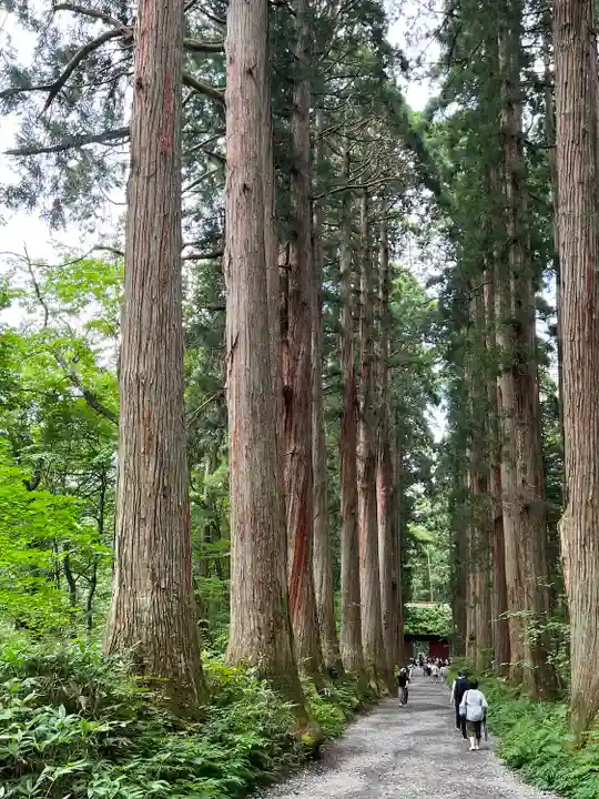 戸隠神社奥社(長野県)