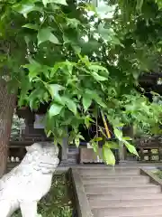 鹿島台神社の狛犬