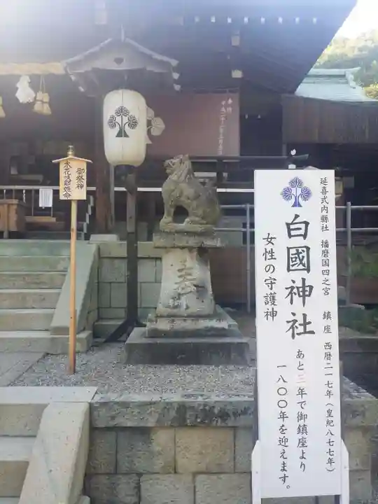 白國神社の狛犬