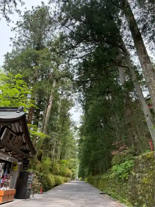 輪王寺(栃木県)