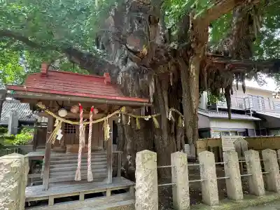 宮城野八幡神社(宮城県)