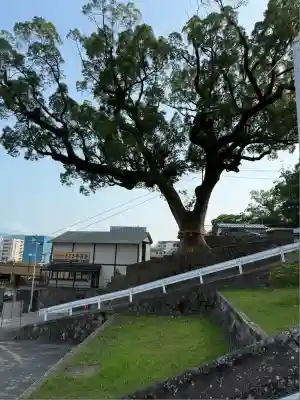 鎮西大社諏訪神社(長崎県)