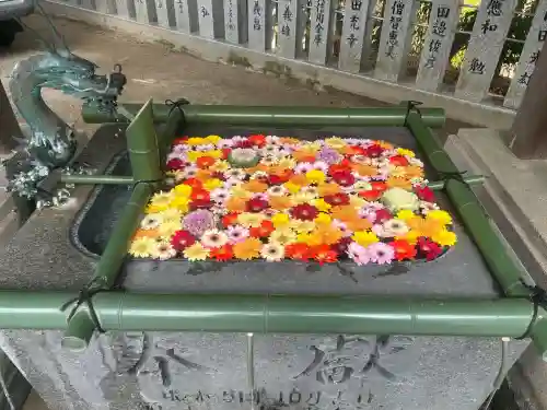 高尾神社の{uncategorized: "未分類", other: "その他", undefined: "問題あり", building: "その他建物", grave: "お墓", sacred_gate: "鳥居", guardian: "狛犬", statue: "像", buddha: "仏像", history: "歴史", nature: "自然", garden: "庭園", animal: "動物", pagoda: "塔", temizu: "手水舎", mountain_gate: "山門・神門", sanctuary: "本殿・本堂", subordinate: "末社・摂社", art: "芸術", scenery: "景色", jizo: "地蔵", ema: "絵馬", goshuin: "御朱印", omikuji: "おみくじ", items: "授与品その他", amulet: "お守り", goshuincho: "御朱印帳", eats: "食事", festival: "お祭り", votive_dance: "神楽", shichigosan: "七五三参", wedding: "結婚式", experience: "体験その他", initially: "初詣", around: "周辺", anti_infection: "感染症対策"}