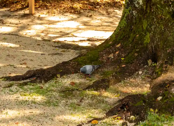 宮崎縣護國神社(宮崎県)