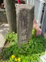 蛇幸都神社(蛇骨神社)(神奈川県)