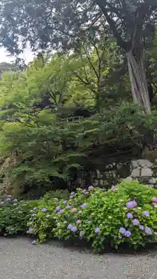 知恩院(京都府)