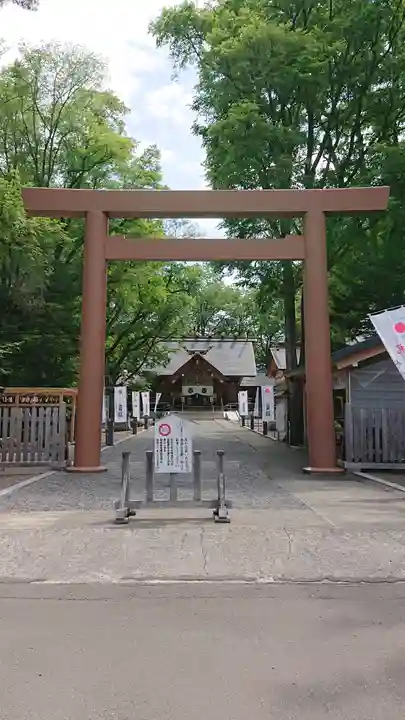 旭川神社の鳥居