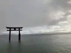 白鬚神社の鳥居