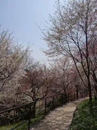 大神神社(奈良県)