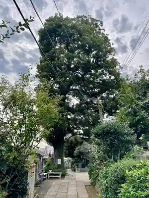 佛心寺(東京都)