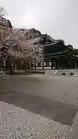 長谷寺の本殿・本堂