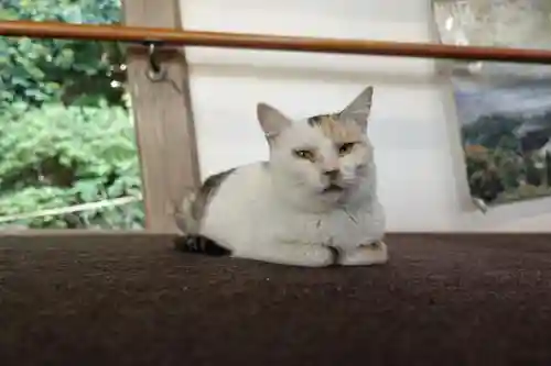 浄瑠璃寺の動物