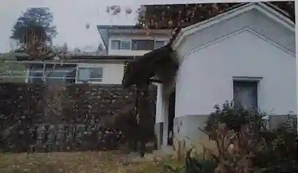 遍照尊寺(福島県)