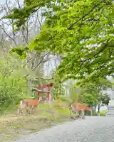 釧路一之宮 厳島神社の動物