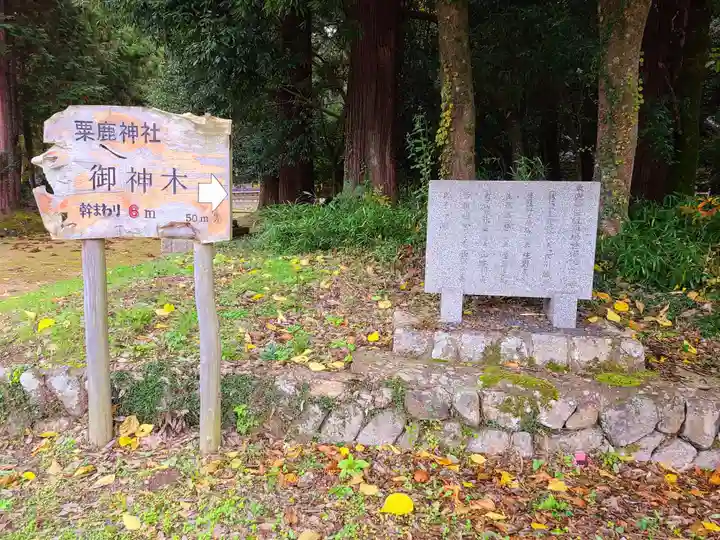 粟鹿神社(兵庫県)