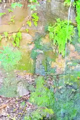 森浅間神社(神奈川県)